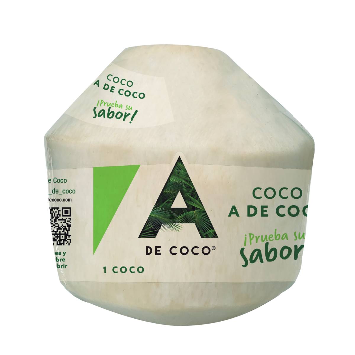 Coco Diamante A De Coco 1 Pieza