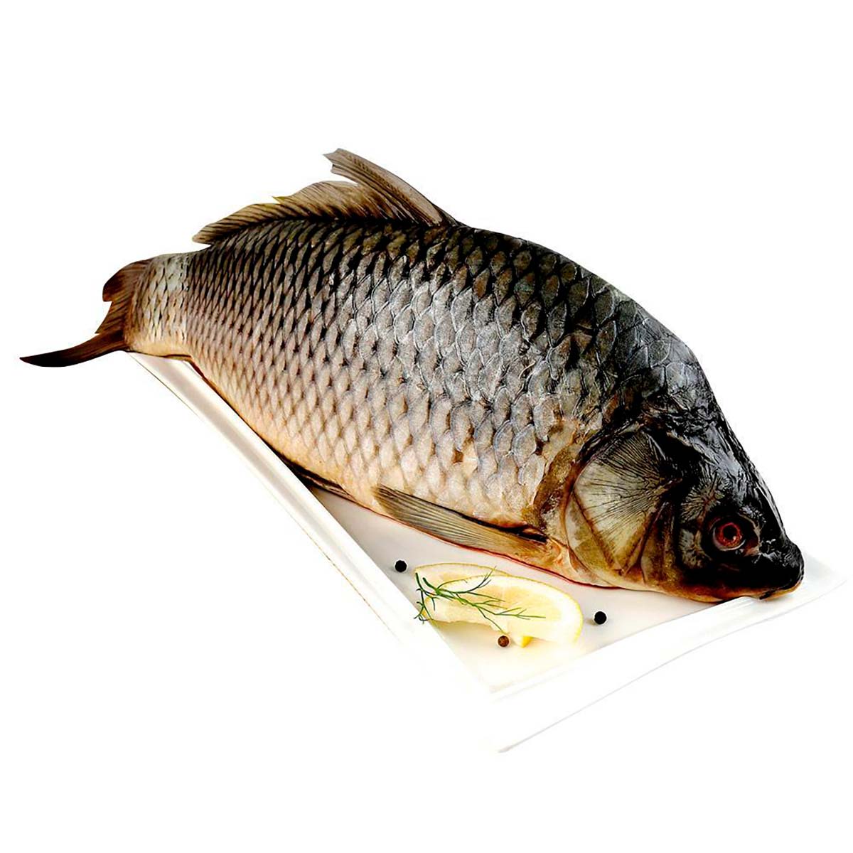 Carpa Por Kg