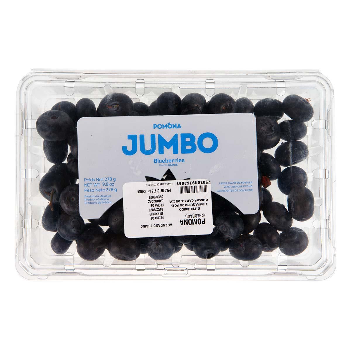Blue Berry Tamaño Jumbo 278g