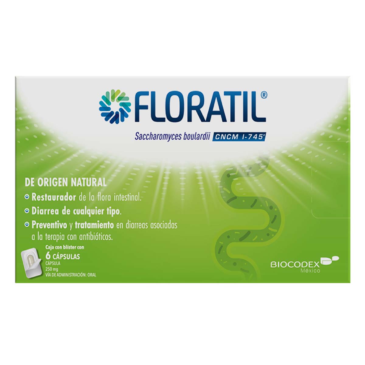 Cápsulas Floratil Probióticos 250mg Caja con 6 Cápsulas