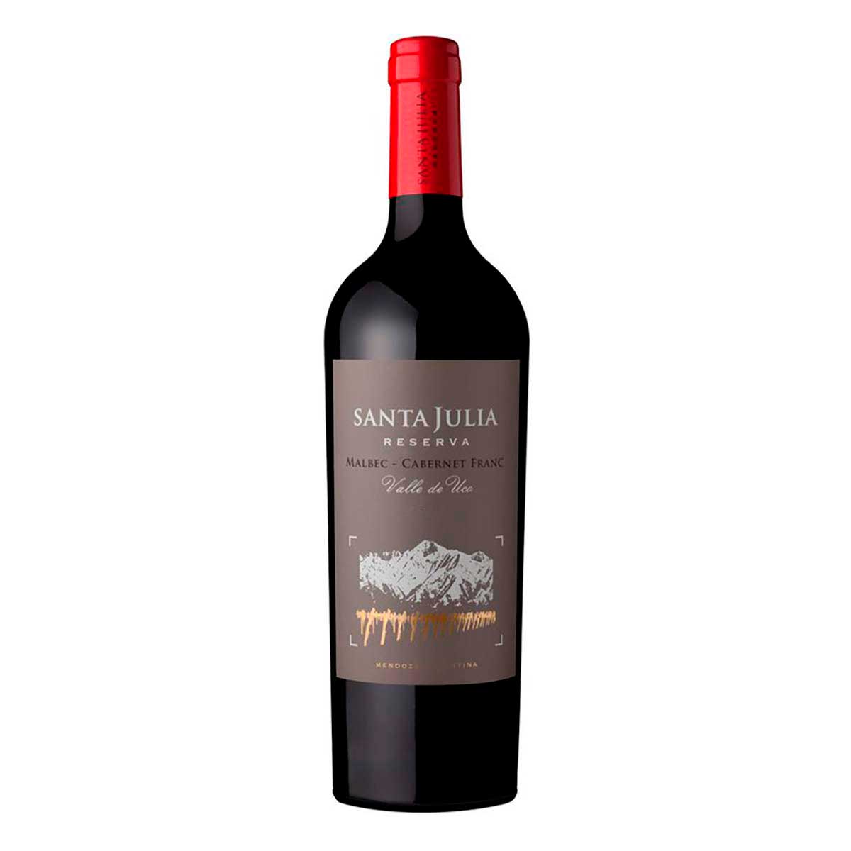 Vino Tinto Santa Julia Malbec 750ml